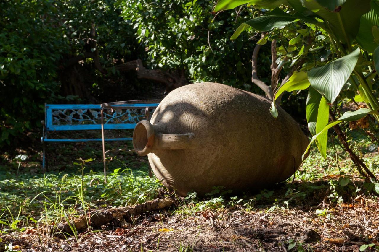 Agricontura Guest House Capri Leone Ngoại thất bức ảnh