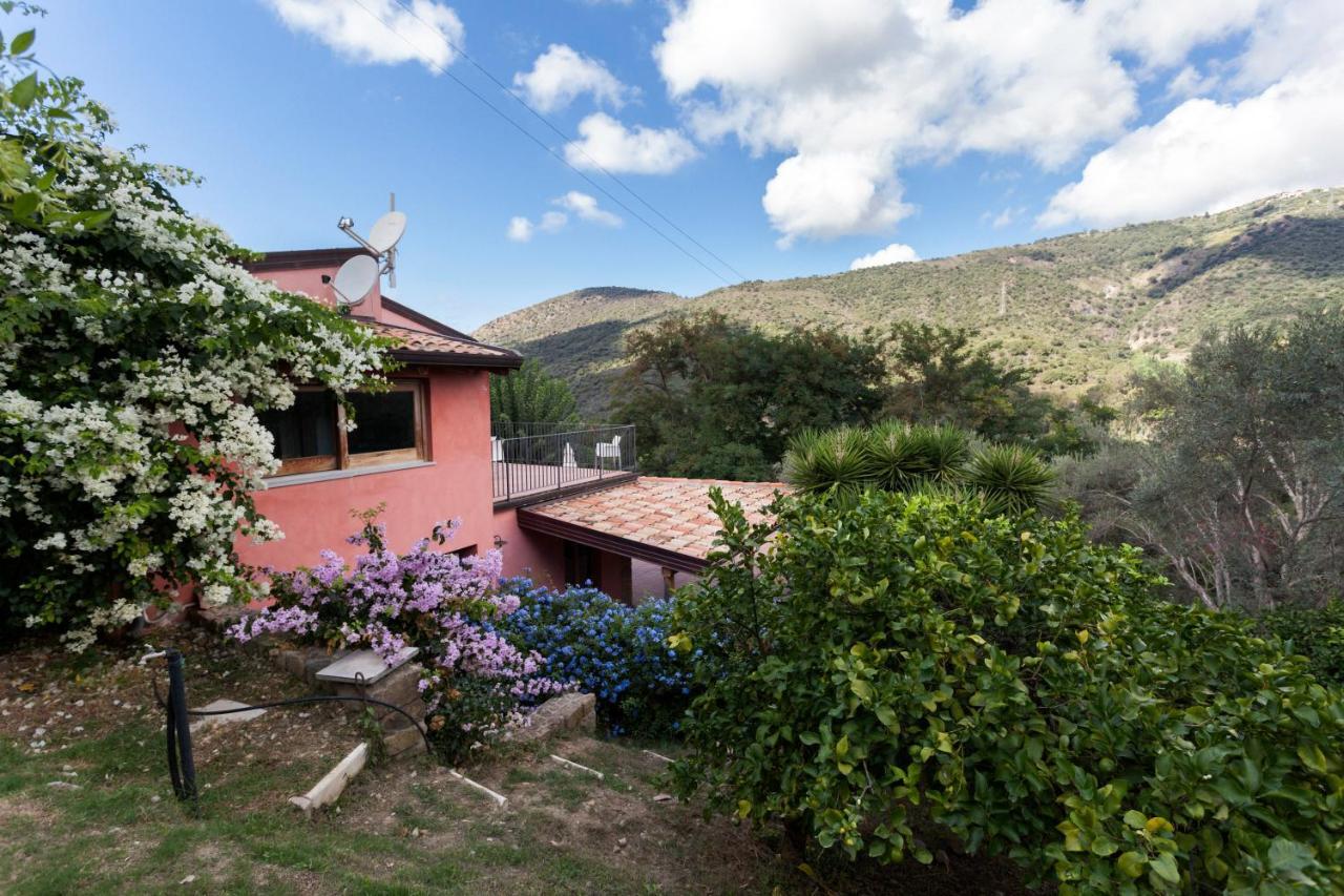 Agricontura Guest House Capri Leone Ngoại thất bức ảnh