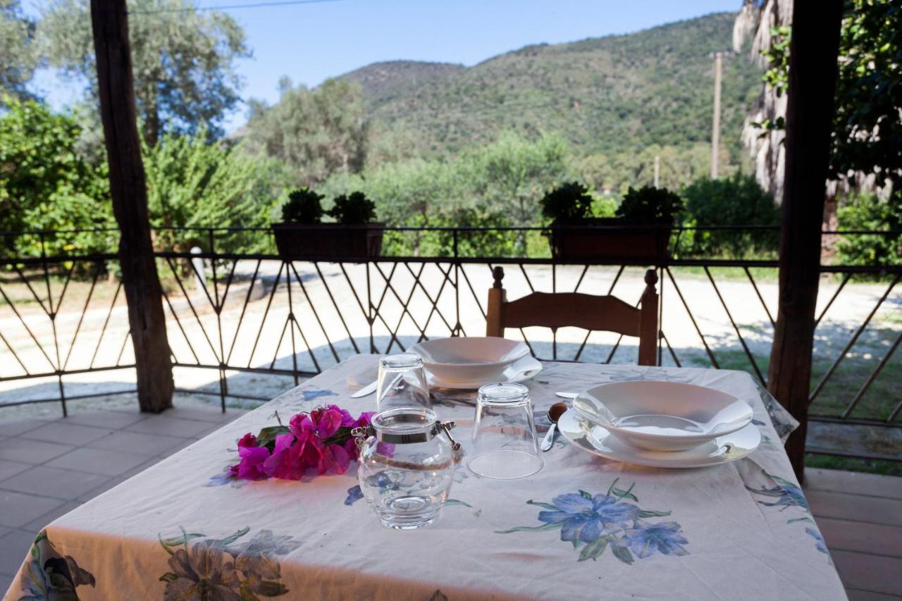 Agricontura Guest House Capri Leone Ngoại thất bức ảnh